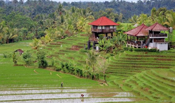 bali-3405221_1280
