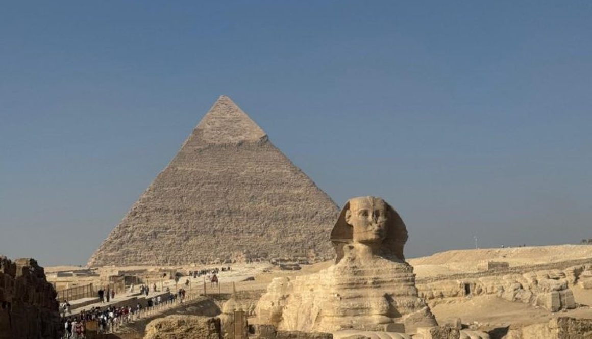 WhatsApp Image 2025-12-11 at 15.16.46